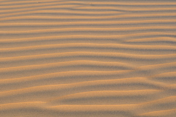 Line Patterns in Desert Sand