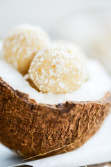 Raw Vegan Coconut and Lemon Truffles in the Coconut Shel