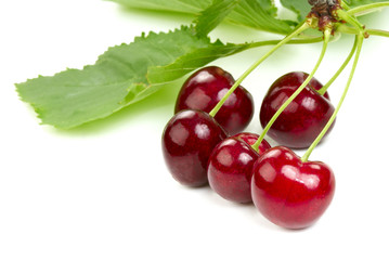 Cherries