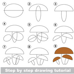 Drawing tutorial.