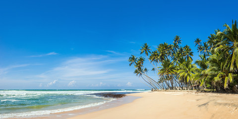 Panoramic view of a wild tropical beach in southern part of Sri Lanka in sunny day. - obrazy, fototapety, plakaty