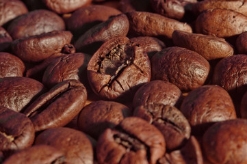 coffee beans