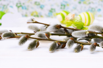 Weidenkätzchenmit  Ostereier zu Ostern