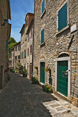 Fototapeta na wymiar Narrow old street with flowers in Italy