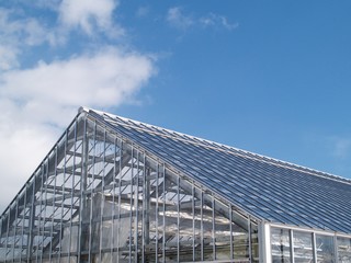 Fototapeta premium ビニールハウス