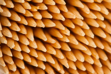 bamboo toothpicks macro detail