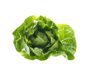 Fototapeta premium Grüner Salat auf weißem Hintergrund