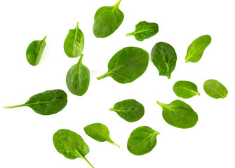 spinach isolated on white background