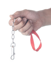 hand holding leash for dog on a white background