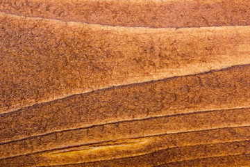 Old wood texture  background. Stripes surface