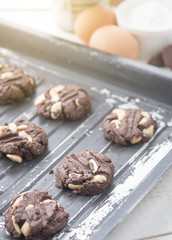 Fototapeta na wymiar Delicious chocolate cookies with nuts on a baking tray
