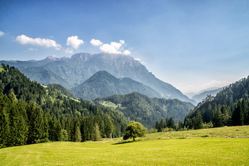 Fototapeta na wymiar Mountain valley with green trees
