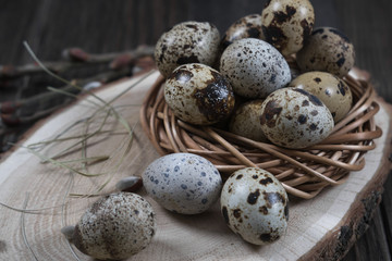 Nest with quail eggs, twigs of willow blossom. Easter concept