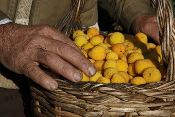 Cesto di corbezzoli 