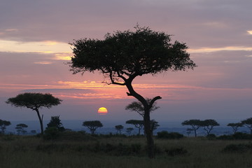 Tramonto africano