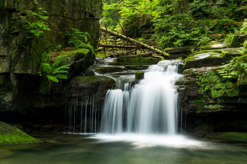Waterfall in the forest		