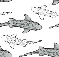 seamless pattern with leopard shark on white background