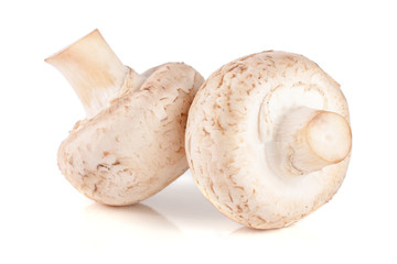 two fresh champignon mushroom isolated on white background