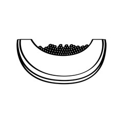 Fototapeta premium paw paw fruit icon over white background. vector illustration