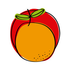 orange fruit icon over white background. colorful design. vector illustration