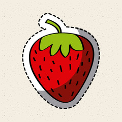 strawberry fruit icon over white background. colorful design. vector illustration