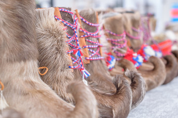 Row of Traditional Sami Handmade Adult Footwear Komager from Reindeer Fur, Close-Up, Finnmark, Norway © Inger