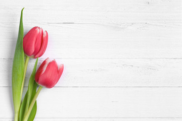Tulpen auf weißem Holz