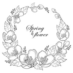 Vector round wreath with outline Jasmine flowers, bud and leaves isolated on white background. Floral elements for spring design and coloring book. Bunch of jasmine flower in contour style.