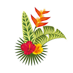 tropical leaves and flowers over white background. colorful design. vector illustration