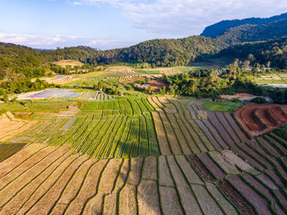 Beautiful landscape view of rice terraces and house