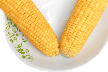 corn boiled closeup on a plate on white background