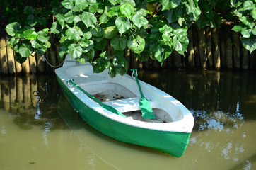 A little wooden boat with green exterior and two green paddles in garden pond. 