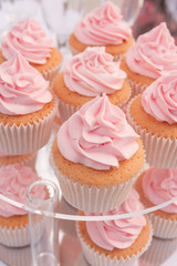 Cupcakes with pink cream