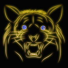 Tiger blue eye pattern black background