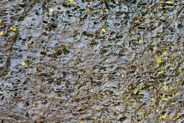 texture wet wild stone