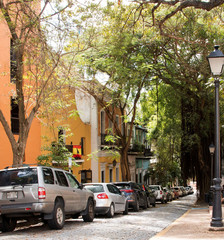 Old San Juan Tree Lined Street