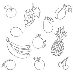 A set of fruit on a white background, the sketch drawn manually.