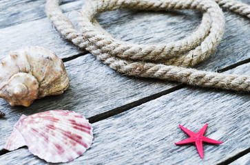 Seashells, star and old rope