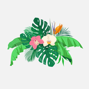 Composition of tropical leaves and exotic flowers