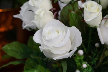 Obraz na płótnie Canvas white rose plastic close up