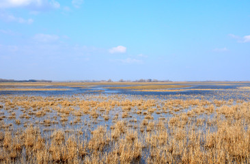The famous Hungarian puszta, Apajpuszta, Hungary