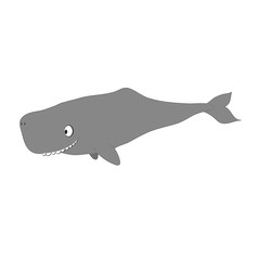 Cute sperm whale vector illustration isolated on white