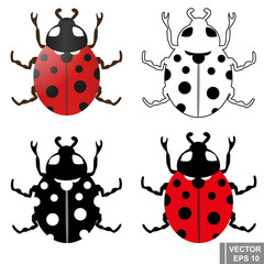 A set of ladybug. Several. Insect. For your design.