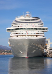 Cruise ship docked in port