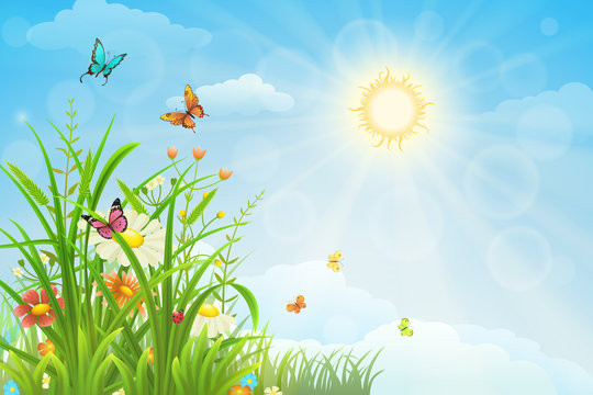 Summer background with flowers, butterflies and green grass