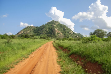 Savana road