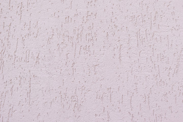 Wall background with decorative coating bark beetle.