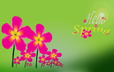 Pink flower background and Hello Spring Letters