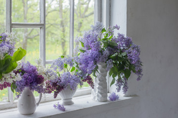 blooming branch of lilac at the window