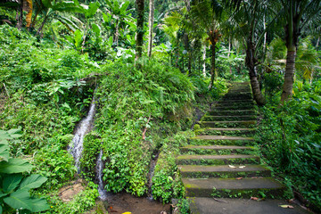 Naklejka premium Old stone stairs in the jungle with a waterfall